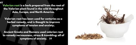 is valerian good for anxiety.